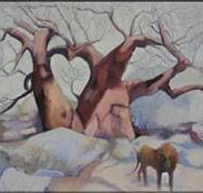 Bright Madge - Surfers Paradise Gold Coast