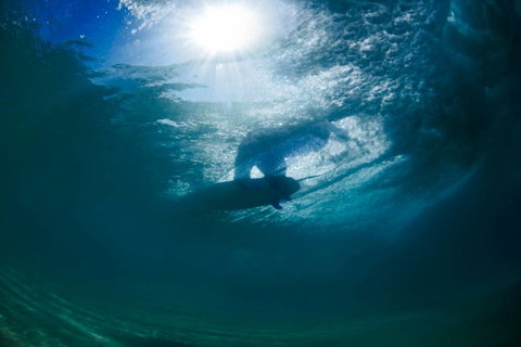 Ocean Art Gallery & Cafe - Surfers Paradise Gold Coast 4