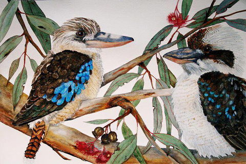 Two Birds Gallery - Surfers Paradise Gold Coast 3