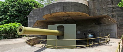 Darwin Tours - Surfers Paradise Gold Coast 3