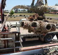 The Evans Head Living Inc - Surfers Paradise Gold Coast