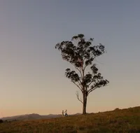 Faulls Ridge Winery - Surfers Paradise Gold Coast