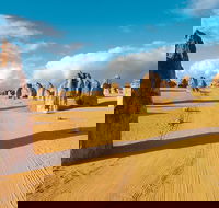 Pinnacles Desert Koalas and Sandboarding 4WD Day Tour from Perth - Surfers Paradise Gold Coast