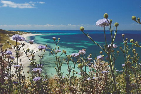 Rottnest Island Full-Day Trip With Guided Island Tour From Perth - Surfers Paradise Gold Coast 6