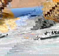 Horizontal Falls Half-Day Tour from Broome - Surfers Paradise Gold Coast