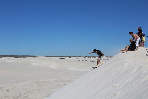 Pinnacles And Yanchep National Park Day Trip From Perth Including Lobster Shack Lunch And Sandboarding - Surfers Paradise Gold Coast 4