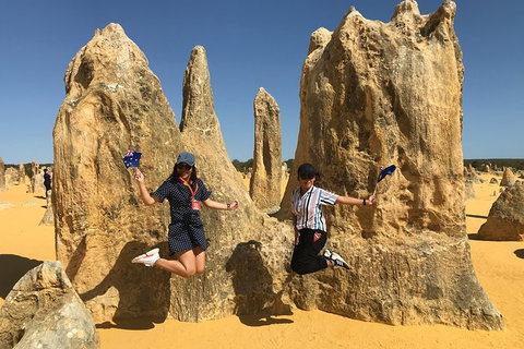 Pinnacles And Yanchep National Park Day Trip From Perth Including Lobster Shack Lunch And Sandboarding - Surfers Paradise Gold Coast 2