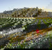 Margaret River Caves Wine and Cape Leeuwin Lighthouse Tour from Perth - Surfers Paradise Gold Coast