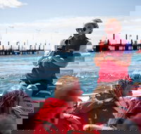 Rottnest Island Tour from Perth or Fremantle including Adventure Speed Boat Ride - Surfers Paradise Gold Coast