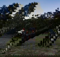 Stargazing Busselton with Mobile Observatory - Surfers Paradise Gold Coast