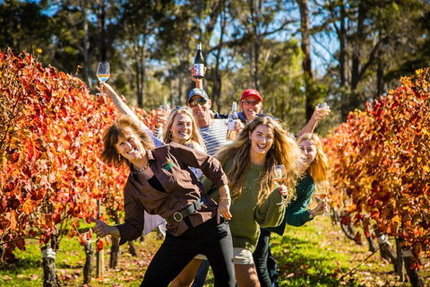 Margaret River Winery And Brewery Day Trip, Plus Gourmet Winery Lunch - Surfers Paradise Gold Coast 4