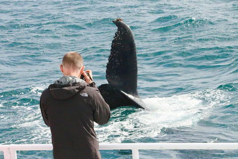 Dunsborough Whale Watching Eco Tour - Surfers Paradise Gold Coast 9