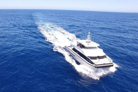 Dunsborough Whale Watching Eco Tour - Surfers Paradise Gold Coast 8