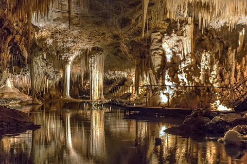 Margaret River Wineries, Caves, Ocean And Karri - Air & Ground Tour - Surfers Paradise Gold Coast 6