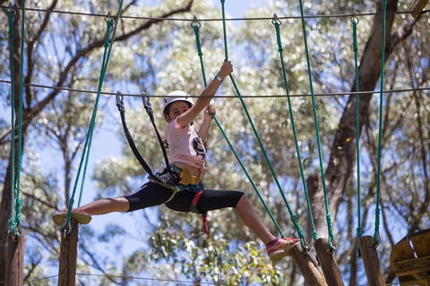 Busselton High Ropes And Zipline Adventure - Surfers Paradise Gold Coast 1