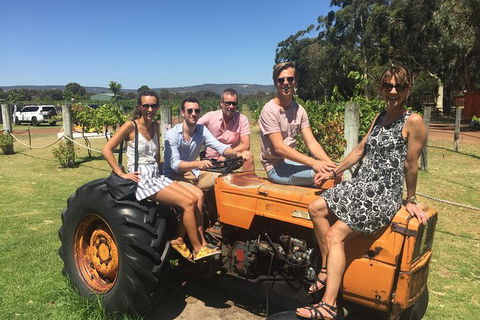Half Day Swan Valley Wine Tour - Surfers Paradise Gold Coast 6