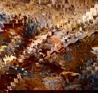 Jewel Cave Fully-guided Tour - Surfers Paradise Gold Coast