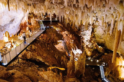 Jewel Cave Fully-guided Tour - Surfers Paradise Gold Coast 0