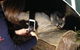 Nocturnal Wildlife Tour From Busselton Or Dunsborough - thumb 4