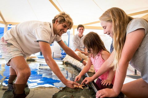 AQWA The Aquarium Of Western Australia: General Admission - Surfers Paradise Gold Coast 5