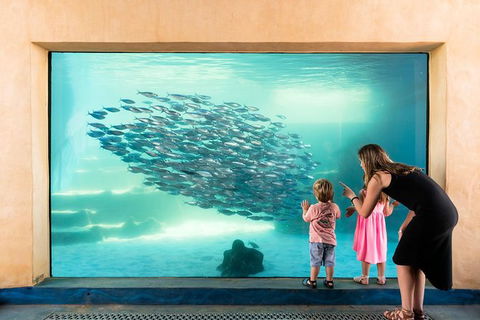 AQWA The Aquarium Of Western Australia: General Admission - Surfers Paradise Gold Coast 2