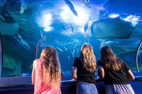 AQWA The Aquarium Of Western Australia: General Admission - Surfers Paradise Gold Coast 7