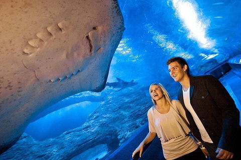 AQWA The Aquarium Of Western Australia: General Admission - Surfers Paradise Gold Coast 6