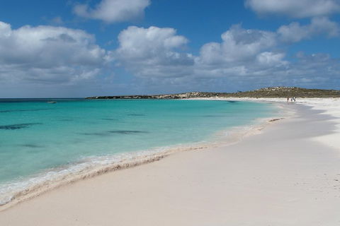 Pink Lake And Abrolhos Full Day Fly And Flipper - Surfers Paradise Gold Coast 0