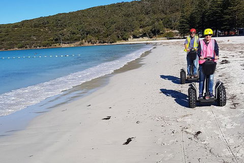 Albany Summit To Sea Adventure - Guided Segway Tour - Surfers Paradise Gold Coast 1