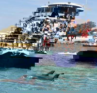 Mandurah Dolphin and Scenic Marine Cruise - Surfers Paradise Gold Coast