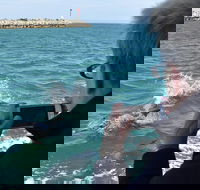 Mandurah Dolphin Island Adventure - Surfers Paradise Gold Coast