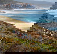 8-Day Cape to Cape Track Guided Walking Tour from Perth - Surfers Paradise Gold Coast