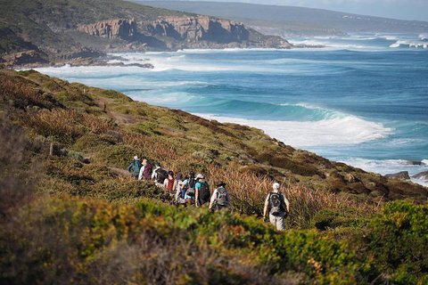 8-Day Cape To Cape Track Guided Walking Tour From Perth - Surfers Paradise Gold Coast 0