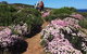 8-Day Cape To Cape Track Guided Walking Tour From Perth - thumb 4
