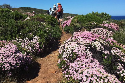 8-Day Cape To Cape Track Guided Walking Tour From Perth - Surfers Paradise Gold Coast 4