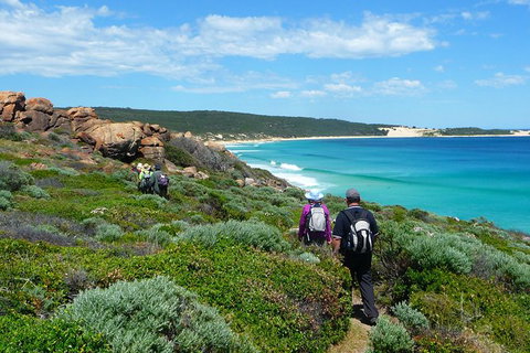 8-Day Cape To Cape Track Guided Walking Tour From Perth - Surfers Paradise Gold Coast 7