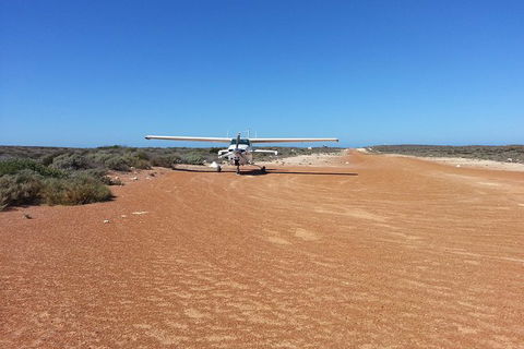 Abrolhos Islands Scenic Flight & Snorkel Adventure From Perth - Surfers Paradise Gold Coast 6