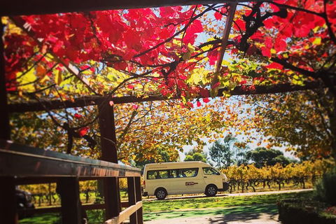 Ultimate Swan Valley Food And Wine Day Trip From Perth - Surfers Paradise Gold Coast 12