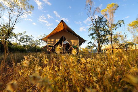 APT Kimberley Wilderness Adventures Purnululu (Bungle Bungle) 4WD Experience - Surfers Paradise Gold Coast 10