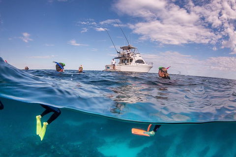 Exclusive Ningaloo Adventure Charter From Exmouth - Surfers Paradise Gold Coast 0