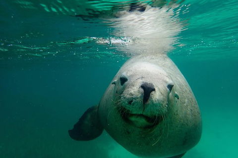SAILING CHARTER TO CARNAC ISLAND - Surfers Paradise Gold Coast 1
