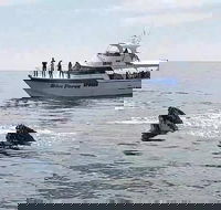 Busselton Whale Watching Eco Tour - Surfers Paradise Gold Coast