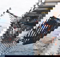 Rottnest Island Wild Seafood Package from Perth with Transfer - Surfers Paradise Gold Coast