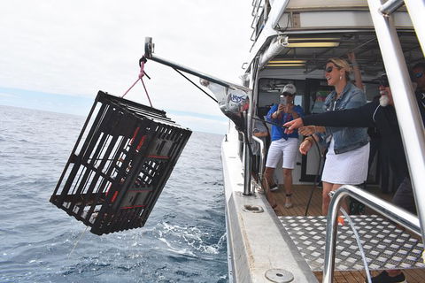 Rottnest Island Wild Seafood Package From Perth With Transfer - Surfers Paradise Gold Coast 0