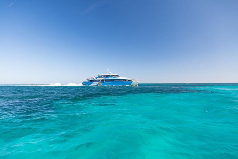 Rottnest Island Bike & Ferry Package From Fremantle - Surfers Paradise Gold Coast 8