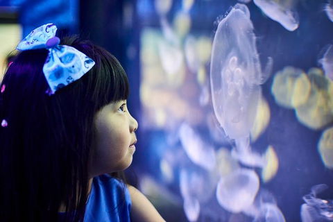 SEA LIFE Melbourne Aquarium Admission Ticket - Surfers Paradise Gold Coast 17