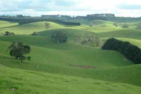 Day Tour Of Phillip Island & Surrounding Region - Surfers Paradise Gold Coast 0