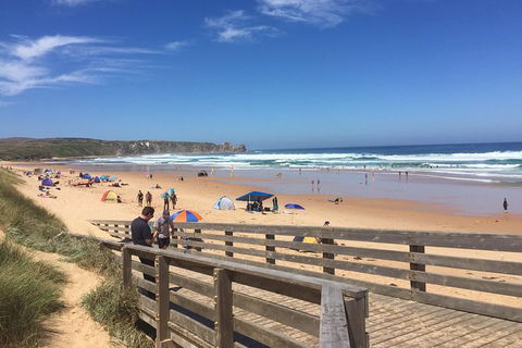 Day Tour Of Phillip Island & Surrounding Region - Surfers Paradise Gold Coast 6