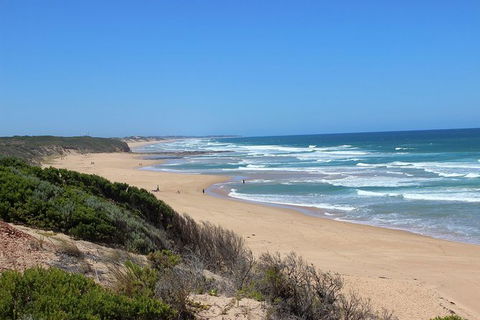 Day Tour Of Phillip Island & Surrounding Region - Surfers Paradise Gold Coast 1