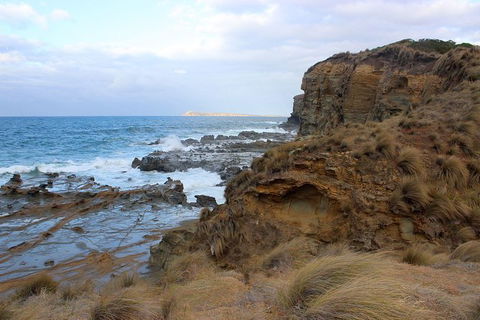 Day Tour Of Phillip Island & Surrounding Region - Surfers Paradise Gold Coast 11